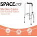 SPACElite Carbon StrokeCane Silver KD