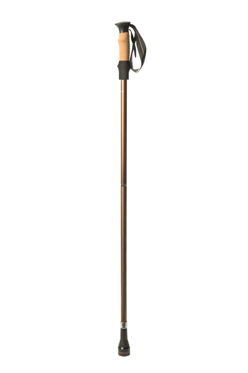 Hiking Pole (002)