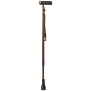 SPACElite Cane All-In-One